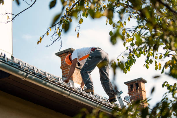 Gutter Replacement in Dewitt, AR