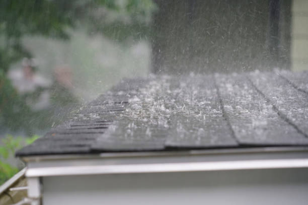 Best Roof Insulation Installation  in Dewitt, AR
