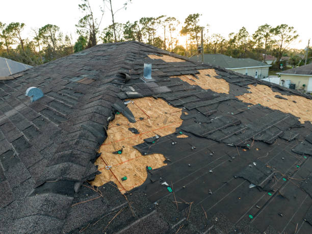 Best Hot Roofs  in Dewitt, AR